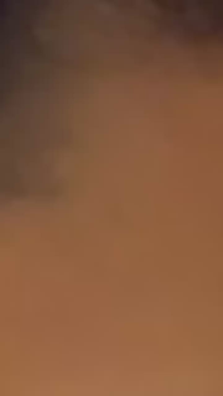 Royal Grace nice blue Colour Jewel Neck Ensemble – 3 Piece Designer Set